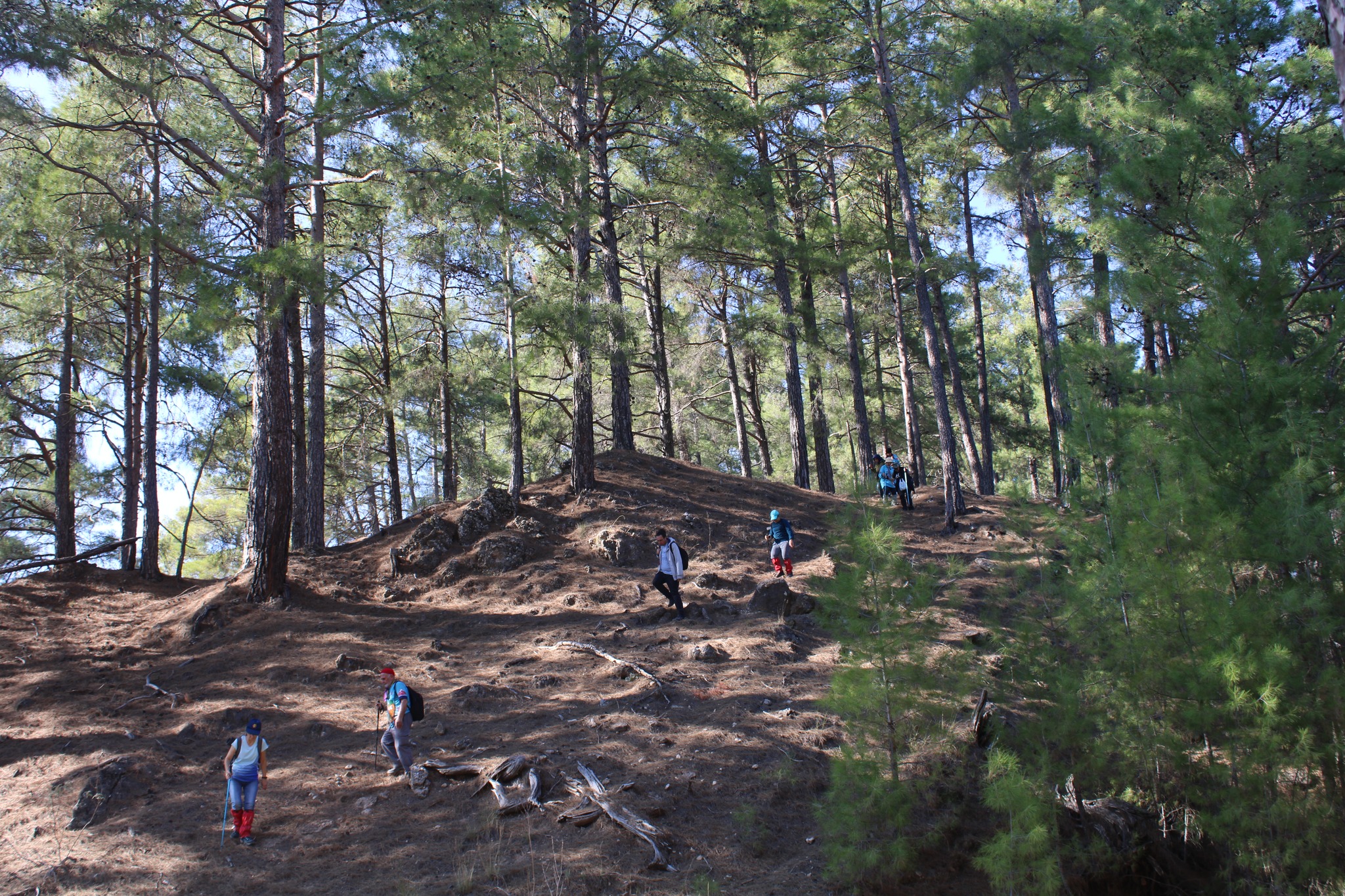 KIZILLI YARMADASI DOĞA YÜRÜYÜŞÜ