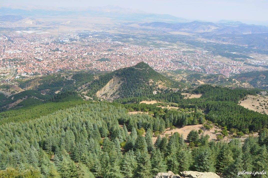 KENT ORMANI - KARATEPE ETEKLERİ YÜRÜYÜŞÜ ve SUCUK etkinliği