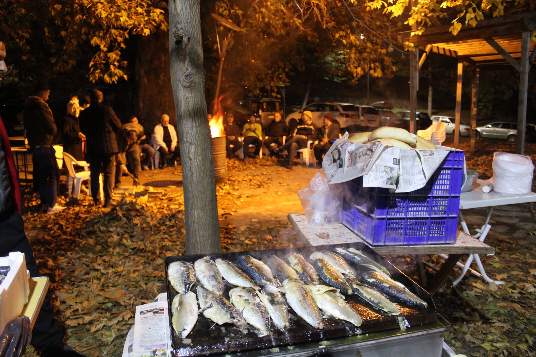 GÖLDOSKLA BALIK GECESİ
